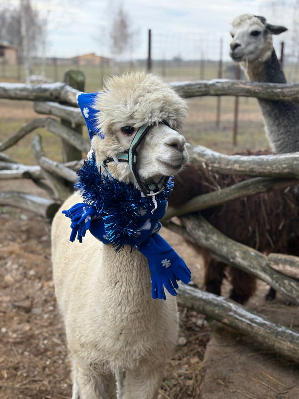 photo_2025-12-11_09-43-09.jpg photo_2025-12-11_09-43-09.jpg