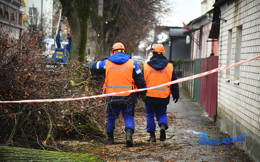 derevjya-obrezka (14).JPG