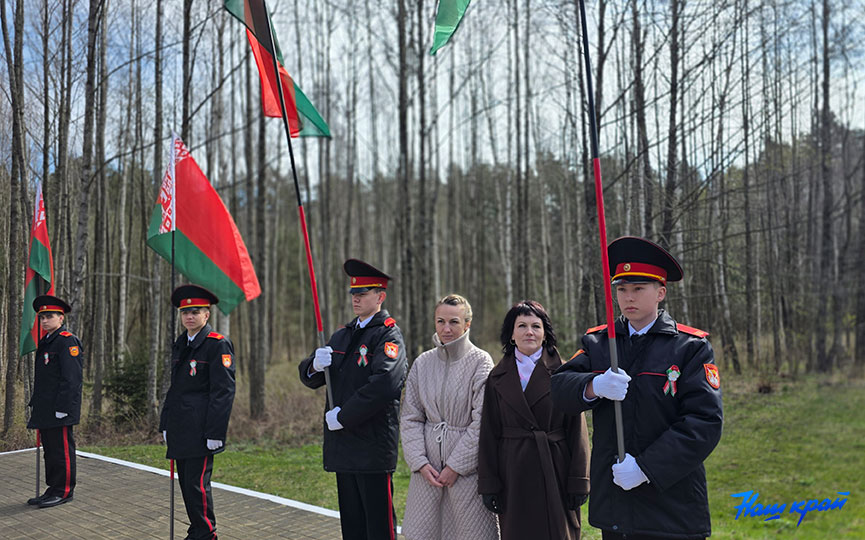 20260410_111849.jpg 20260410_111849.jpg