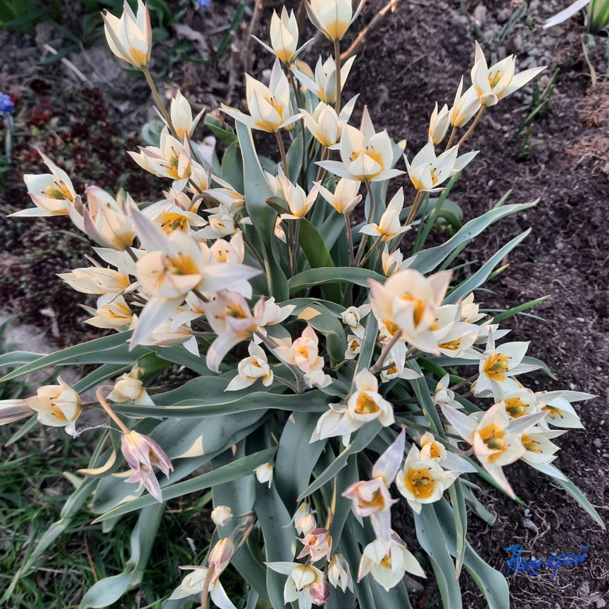 photo_2026-04-15_22-39-43.jpg photo_2026-04-15_22-39-43.jpg