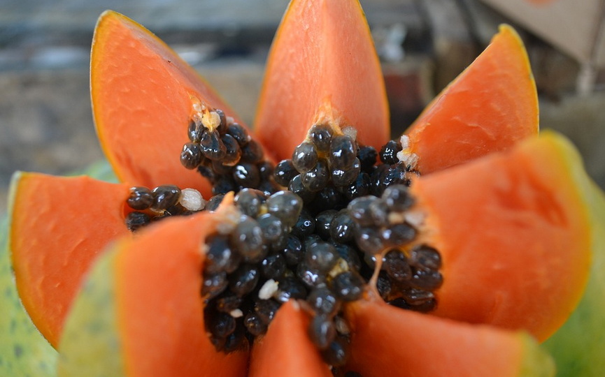 papaya-966322_960_720.jpg