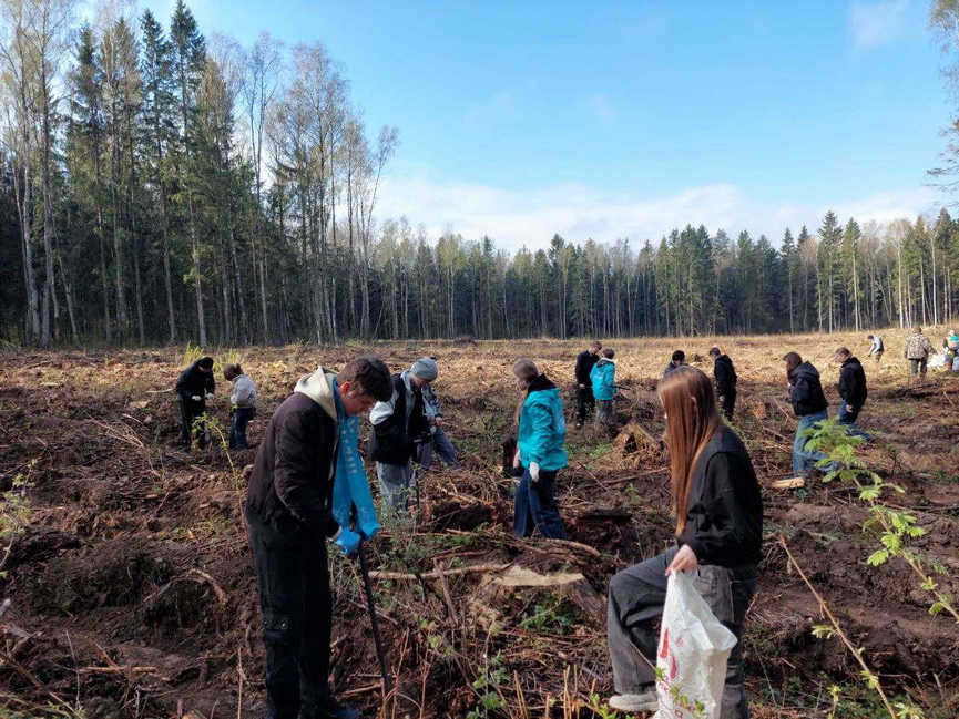 2_новый размер.jpeg