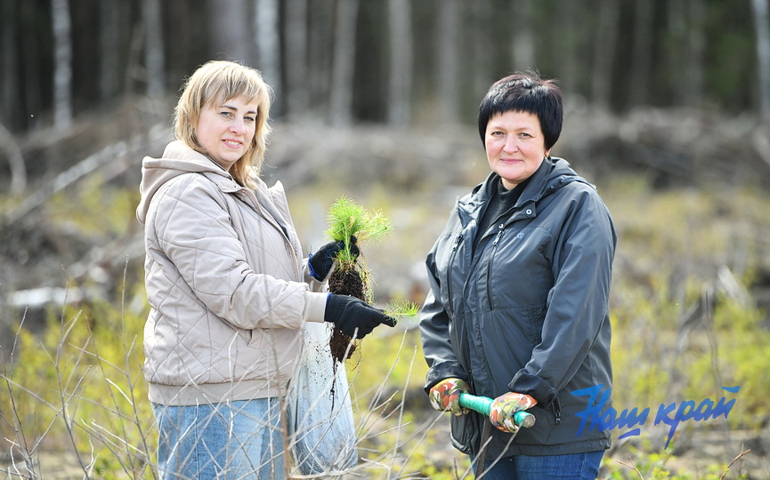 subbotnik-_3748 (7).JPG