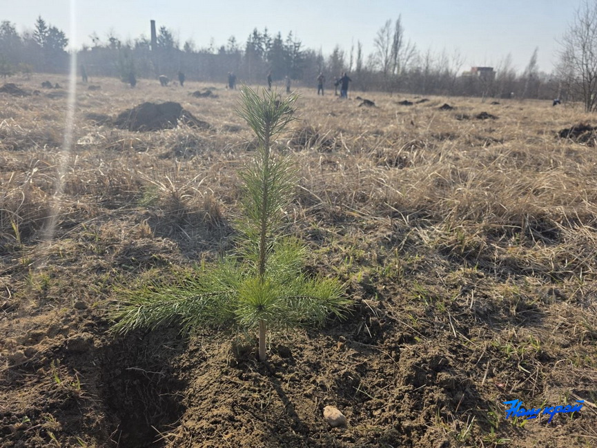 photo_2026-03-28_10-17-46 (2)_новый размер.jpg