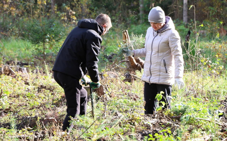 les-_01.jpg les-_01.jpg
