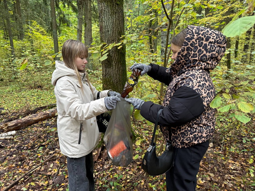 2025-10-11_12-00-(12).jpg 2025-10-11_12-00-(12).jpg