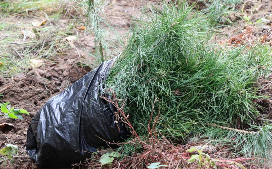 les-_09.jpg les-_09.jpg