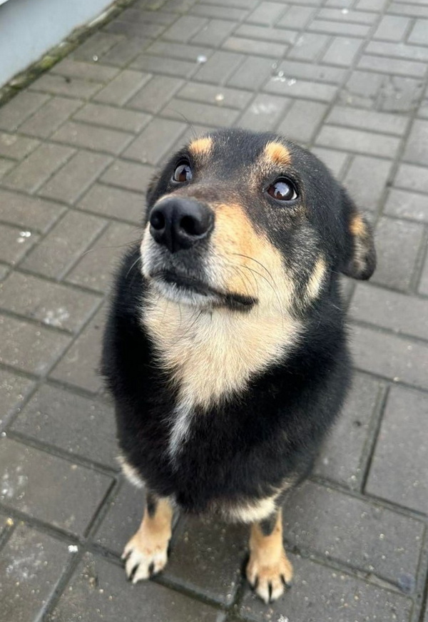 photo_2025-12-15_15-42-47.jpg photo_2025-12-15_15-42-47.jpg