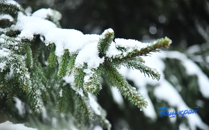 zima-pogoda-_6027 (4).JPG