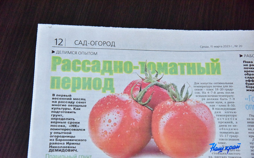 gazeta15-03 (12).JPG