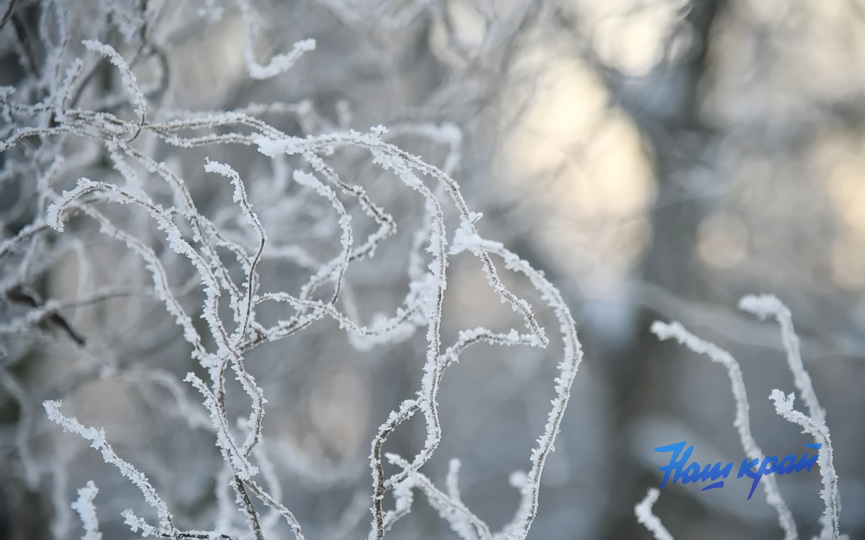 pogoda-zima-18-01 (7).JPG