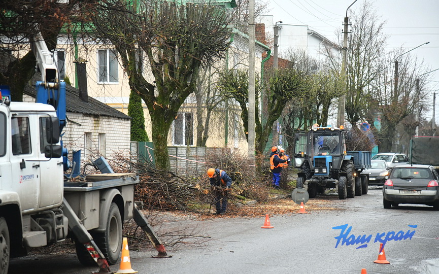 derevjya-obrezka (8).JPG