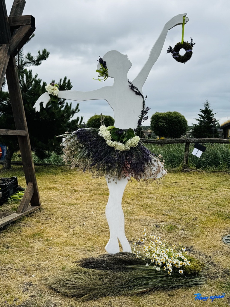 festival-(7).jpeg
