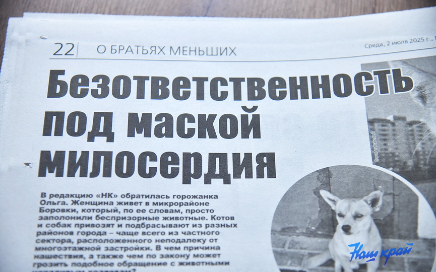 02-07-(12).JPG