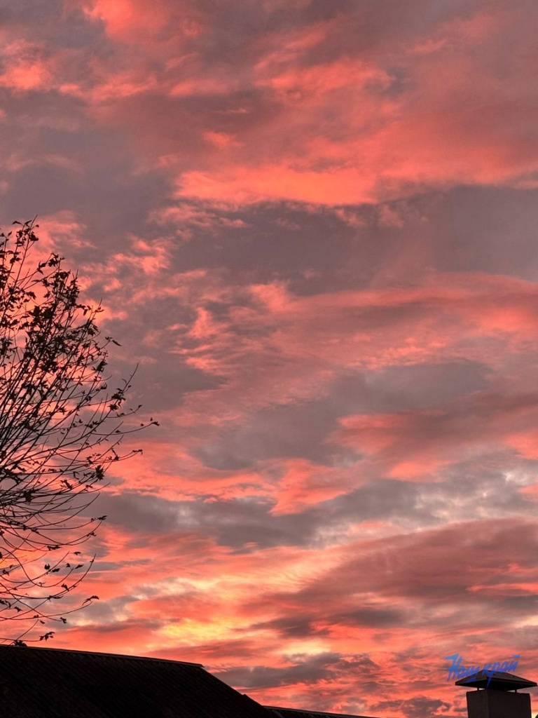 photo_2025-11-06_17-46-26.jpg photo_2025-11-06_17-46-26.jpg