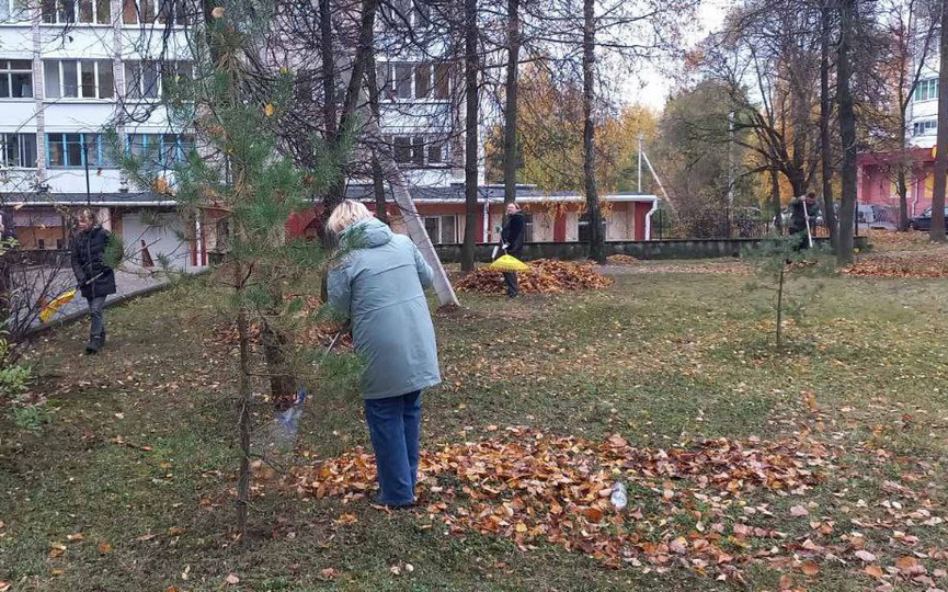 photo_2025-10-29_16-46-52.jpg photo_2025-10-29_16-46-52.jpg