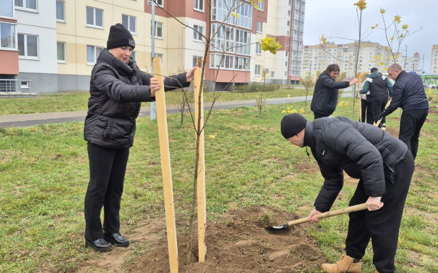 IMG_6030.jpeg IMG_6030.jpeg