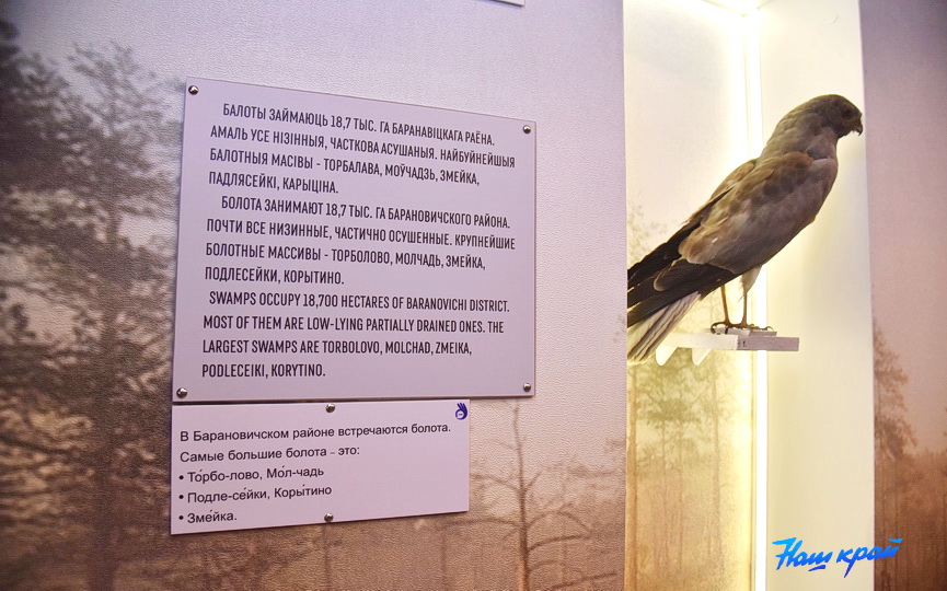 kraevedcheskij-muzej-14.JPG