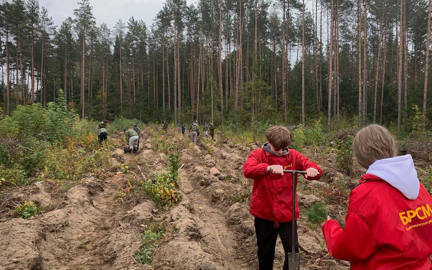 photo_2025-10-10_17-59-01 (3).jpg