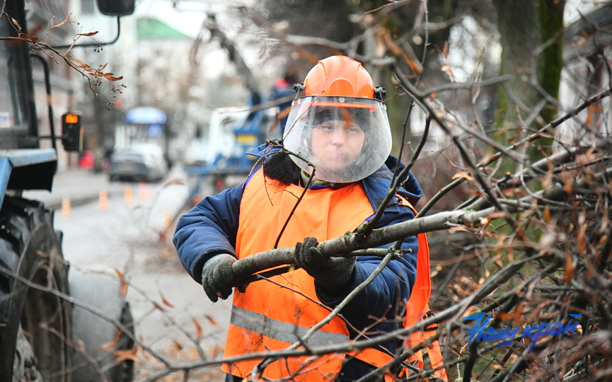 derevjya-obrezka (15).JPG