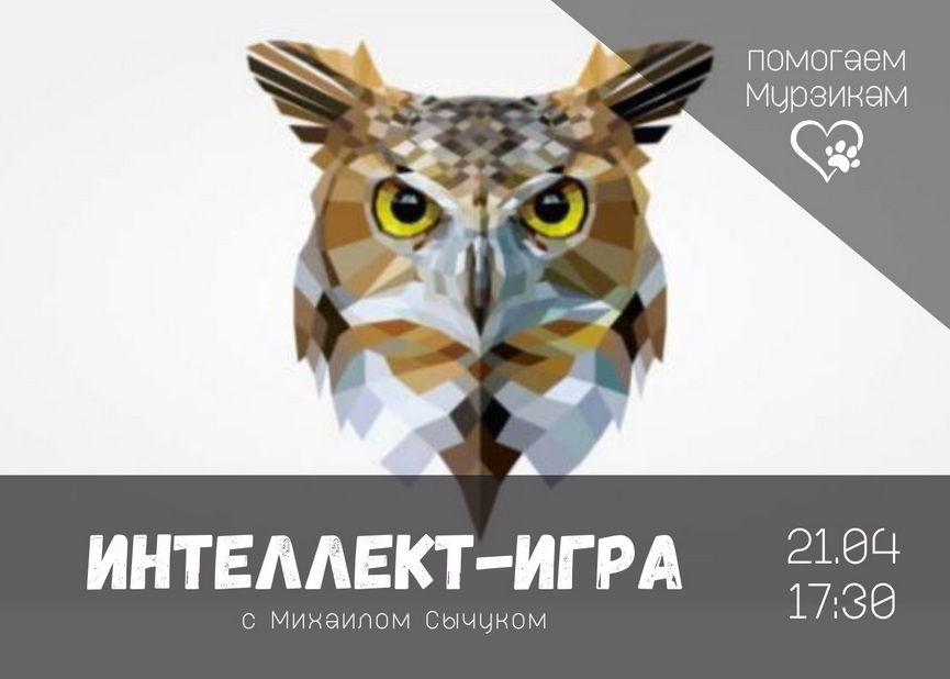 3podrobnosti-masshtabnogo-proekta-pomoshchi-bezdomnym-zhivotnym.jpg