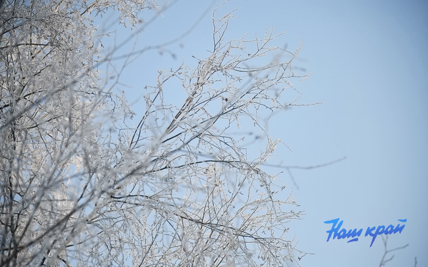 pogoda-zima-18-01 (10).JPG