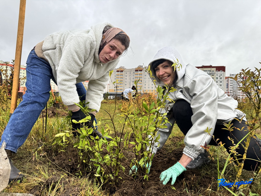 subbotnik-(8).jpeg