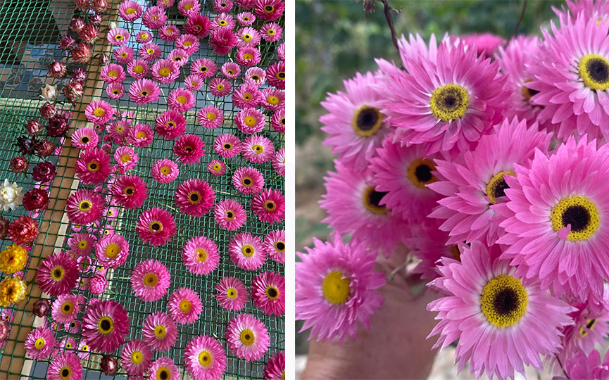 2-photo_2025-10-21_14-42-38.jpg 2-photo_2025-10-21_14-42-38.jpg