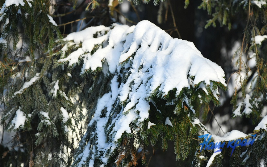 pogoda-yanvar-zima14 (12).JPG