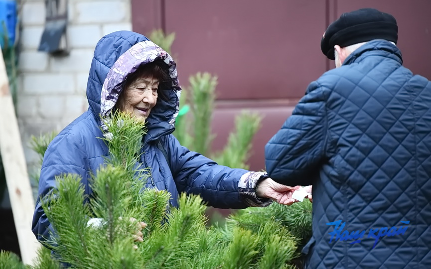 elka-elochnye (5).JPG