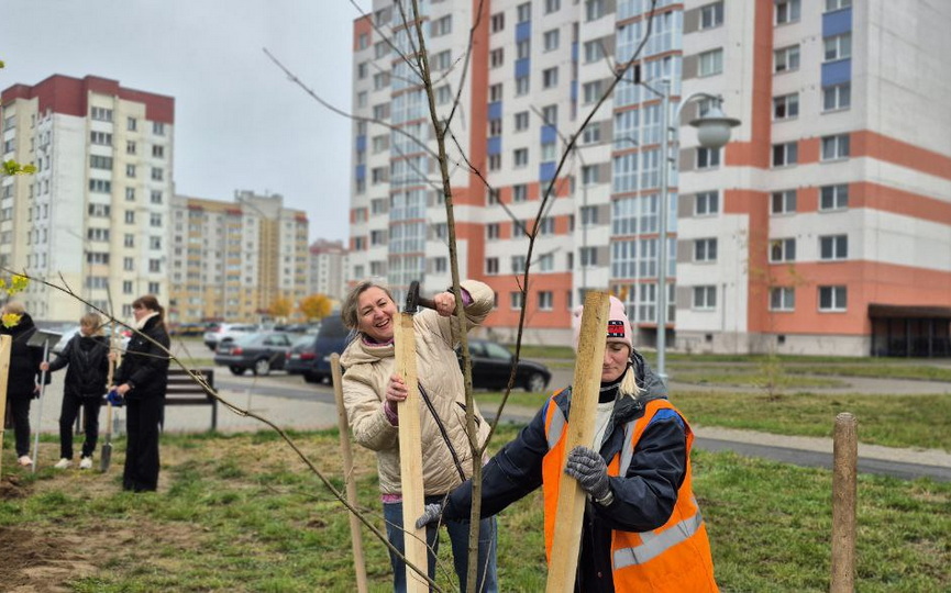 IMG_6032.jpeg IMG_6032.jpeg