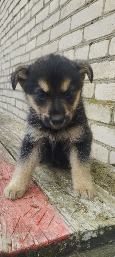 mal mal.jpg mal mal.jpg