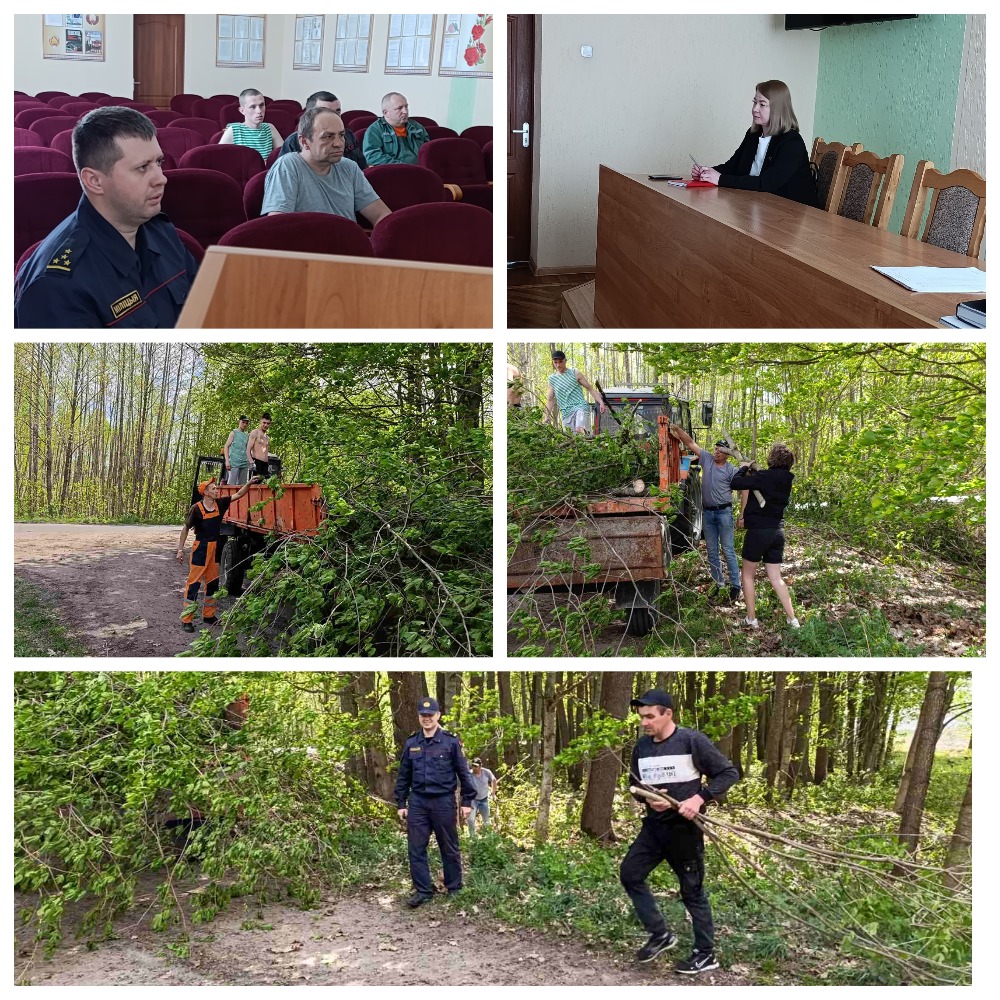 MyCollages.jpg