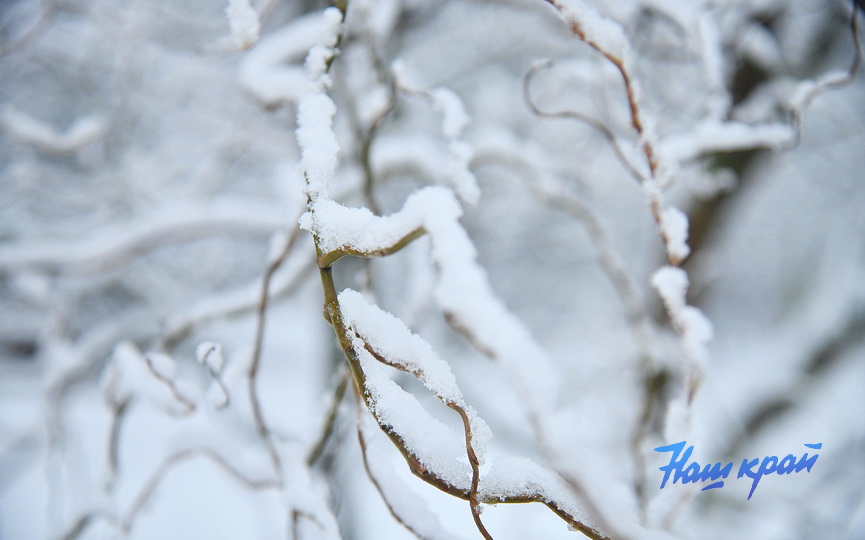 zima-28-01_0023 (1).JPG