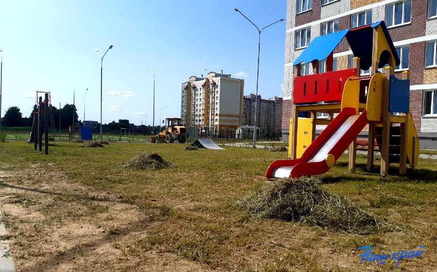 shkola-borovki-22-07_07.jpg