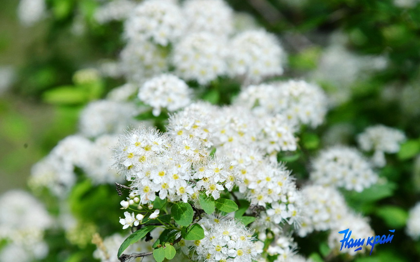 pogoda-maj- (6).JPG