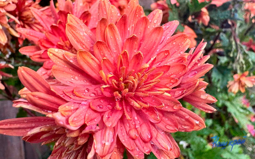 photo_2025-10-13_15-53-36-(2).jpg photo_2025-10-13_15-53-36-(2).jpg