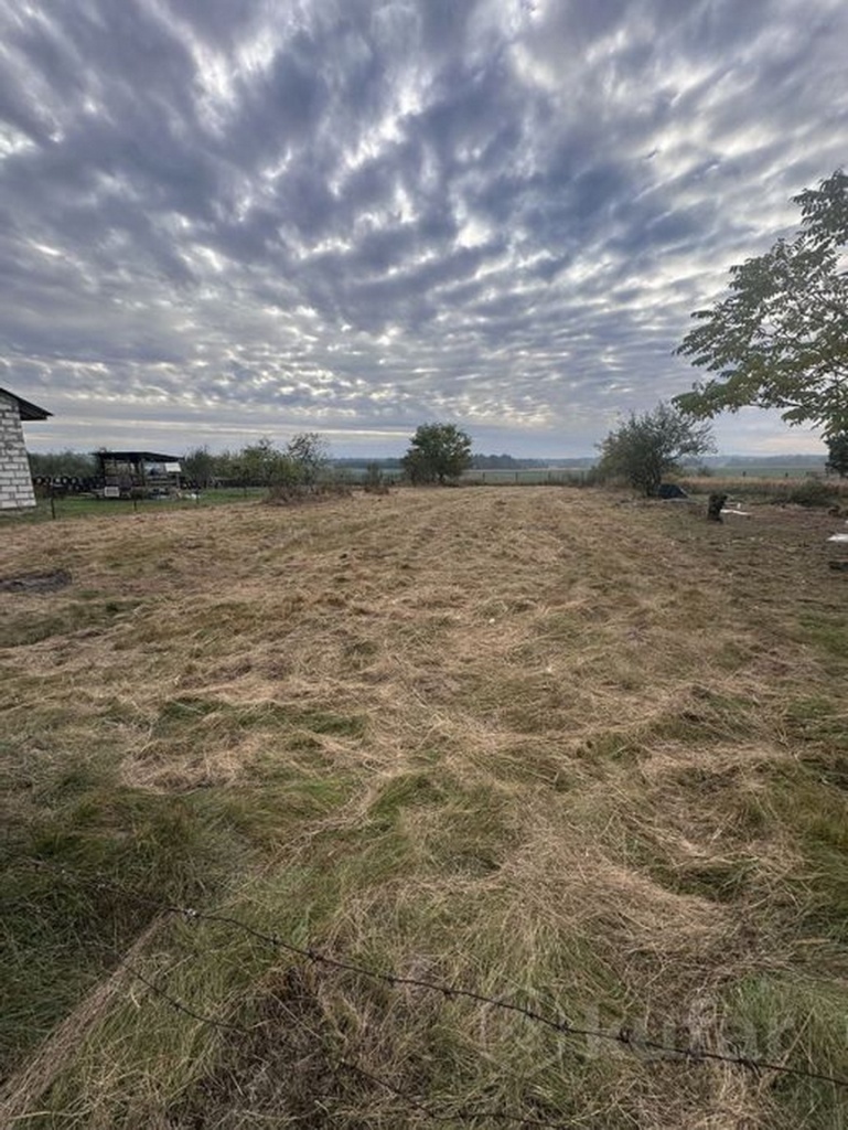 8484848488484848.jpg 8484848488484848.jpg