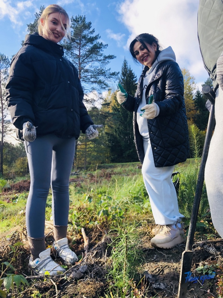 IMG_0937.jpg IMG_0937.jpg