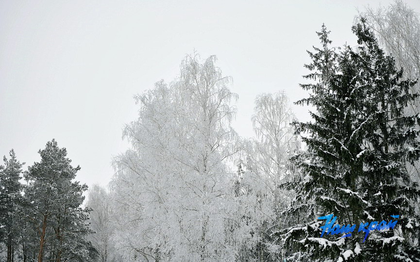 snajper-22-01 (30).JPG