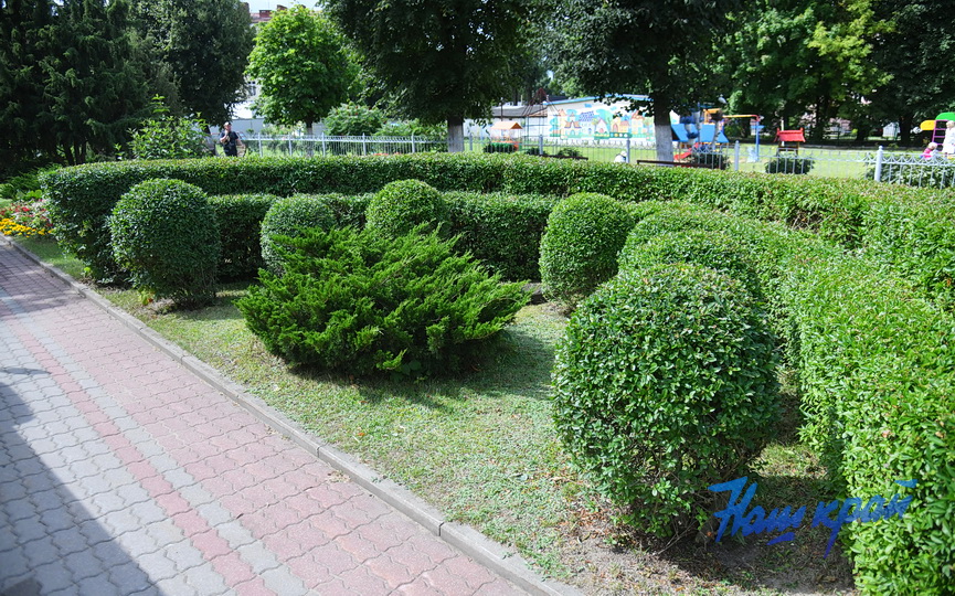 tsvety-_0171 (21).JPG