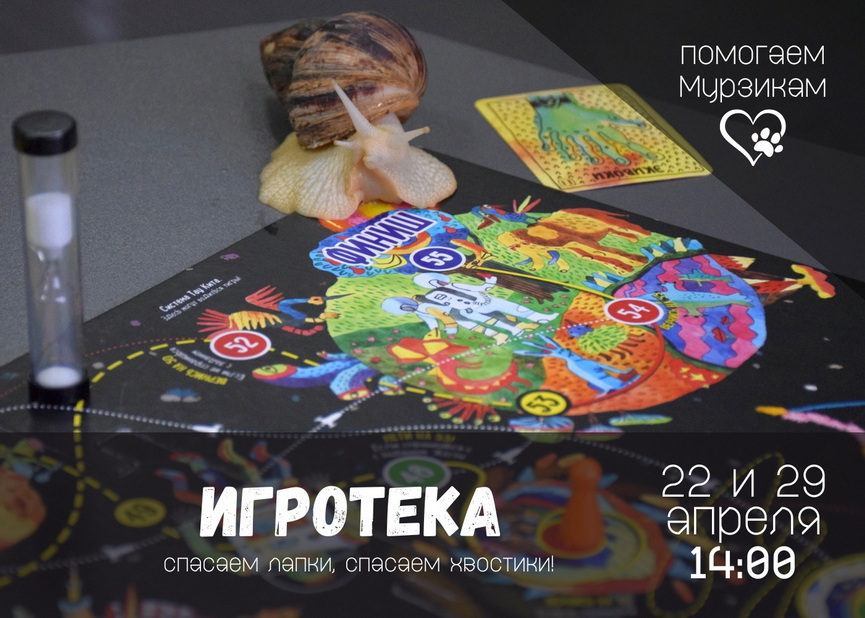 4podrobnosti-masshtabnogo-proekta-pomoshchi-bezdomnym-zhivotnym.jpg