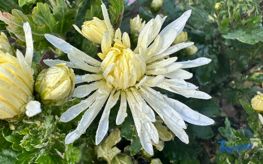 photo_2025-10-13_15-53-35.jpg photo_2025-10-13_15-53-35.jpg