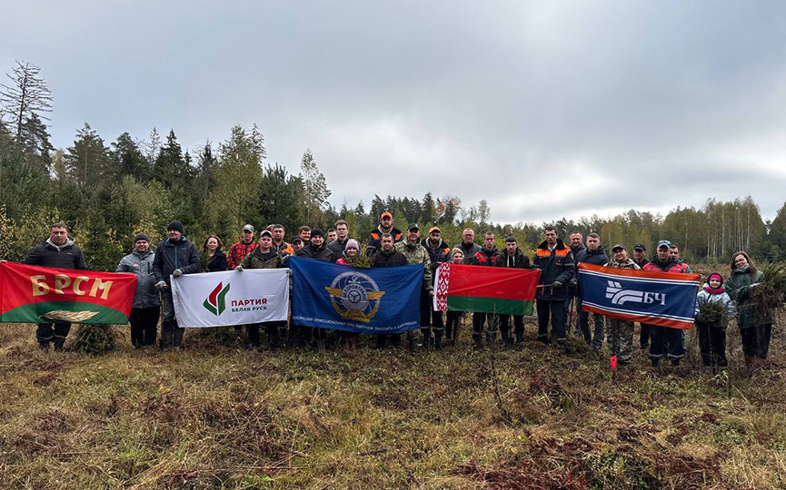 2025-10-11_14-14-(8).jpg 2025-10-11_14-14-(8).jpg