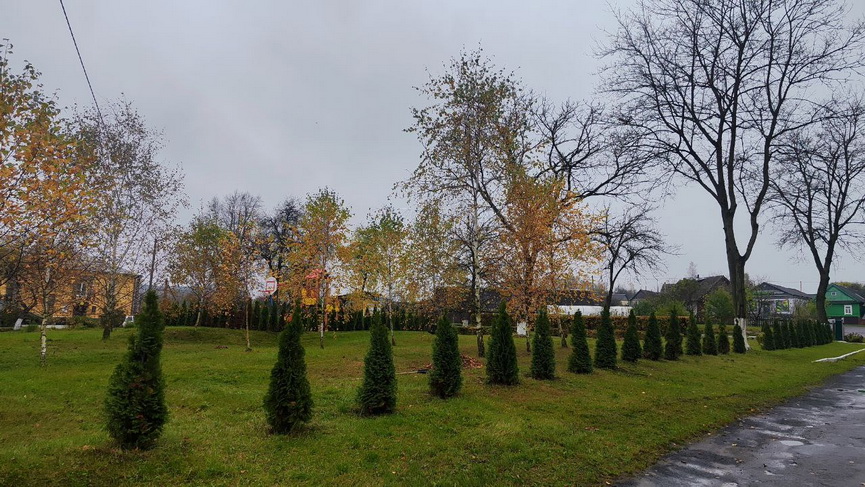 photo_2025-10-25_16-11-05_новый размер.jpg