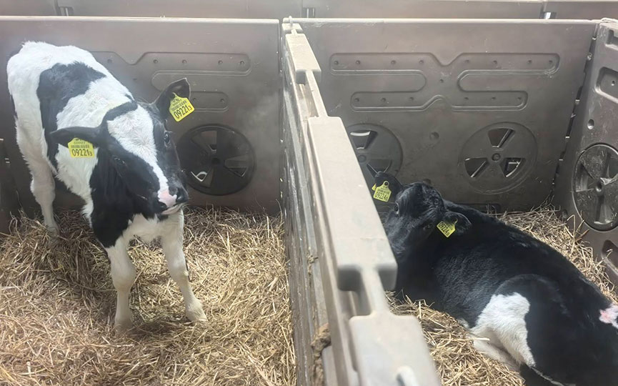 2026-01-31_10-15-36-1).jpg 2026-01-31_10-15-36-1).jpg