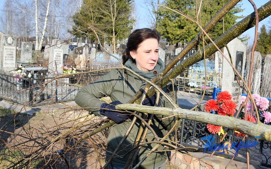 DSC_7727.jpg DSC_7727.jpg