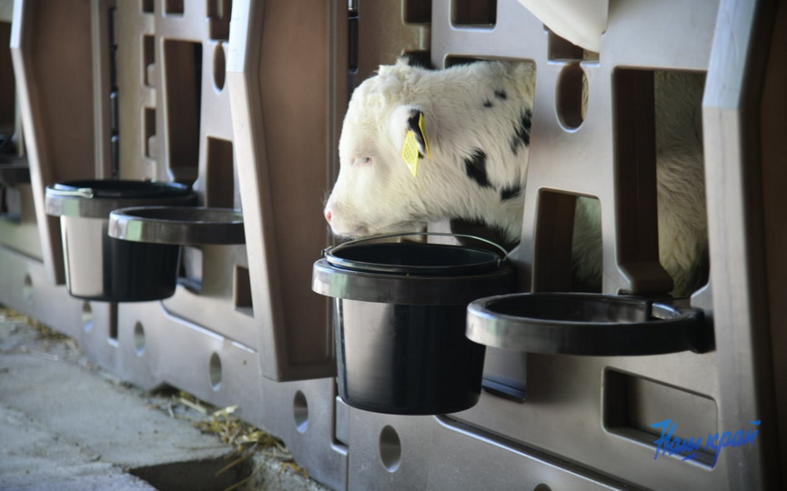 photo_2026-03-05_16-15-12 (7).jpg