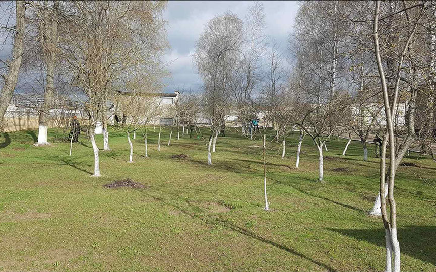 subbotnik-voennye-2.jpg