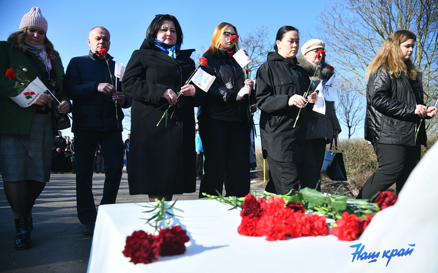 miting-vozlozhenie-skorbyaschaya-(17).JPG